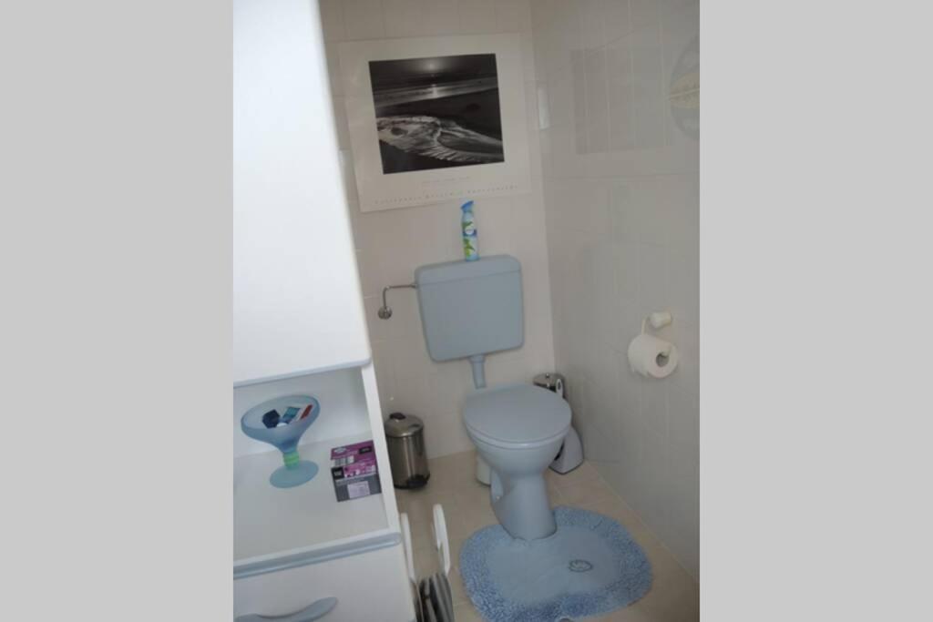 Apartement Am Kirschbaum Mommenheim Esterno foto