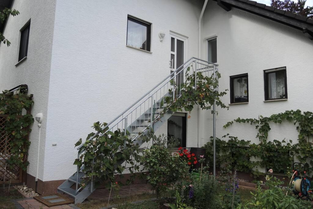 Apartement Am Kirschbaum Mommenheim Esterno foto